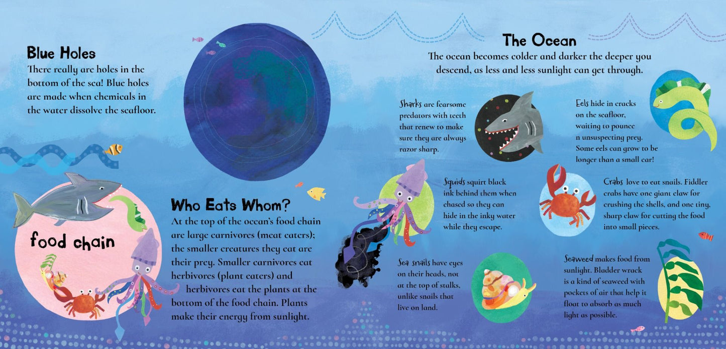 A Hole in the Bottom of the Sea | Baby Proof Book
