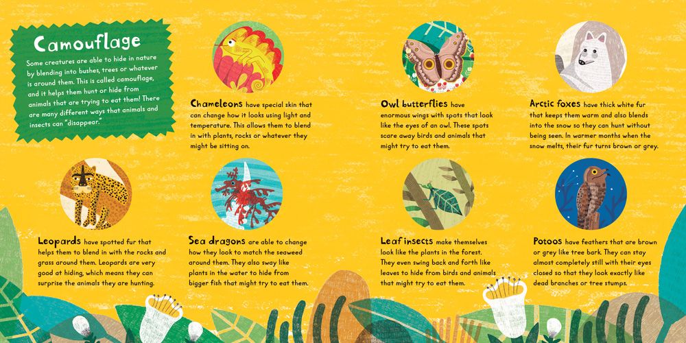Sneak! Board Book
