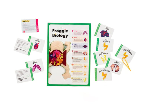 Froggie Dissection Lab