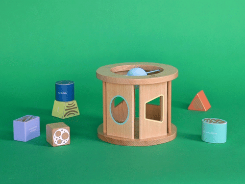 Biology Blocks Shape Sorter