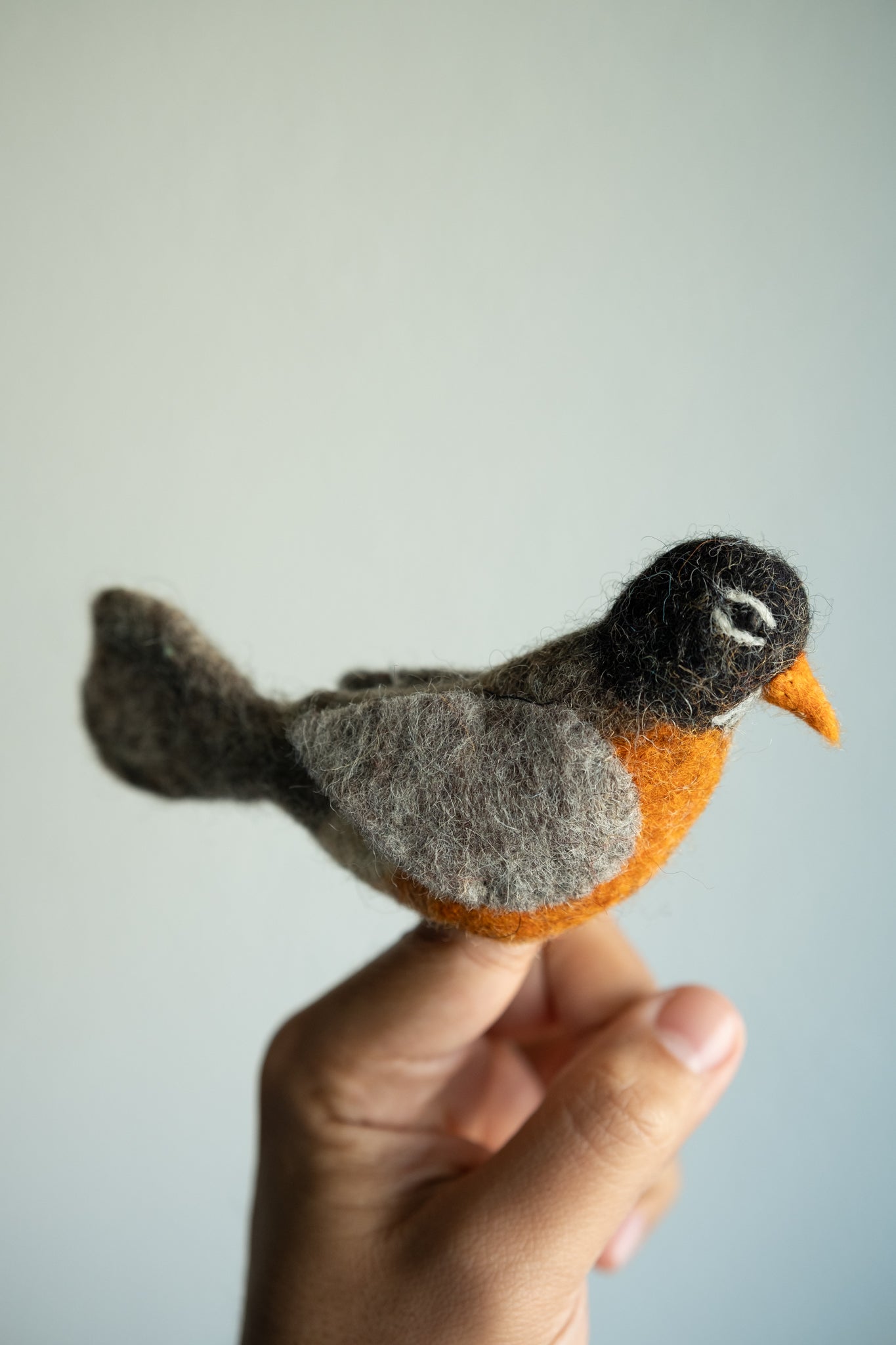 Finger Puppets - Birds - Assorted