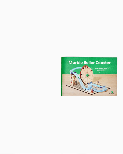 Marble Roller Coaster