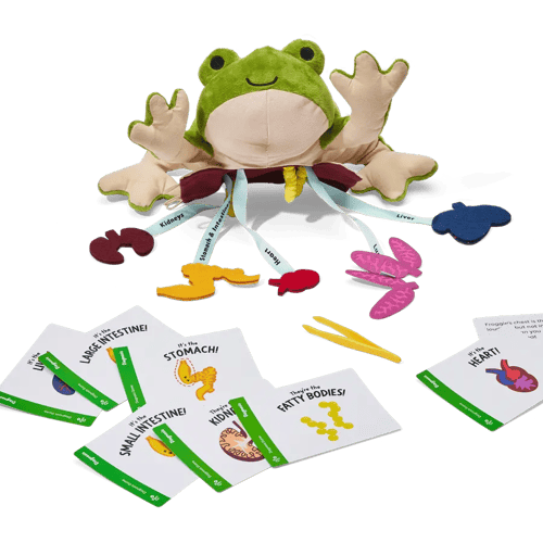 Froggie Dissection Lab