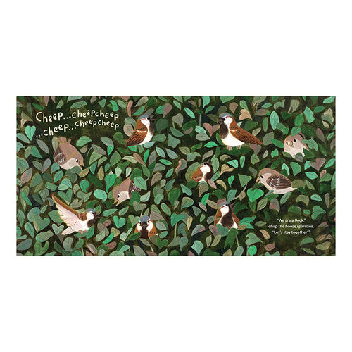 Birds Have A Lot To Say Book
