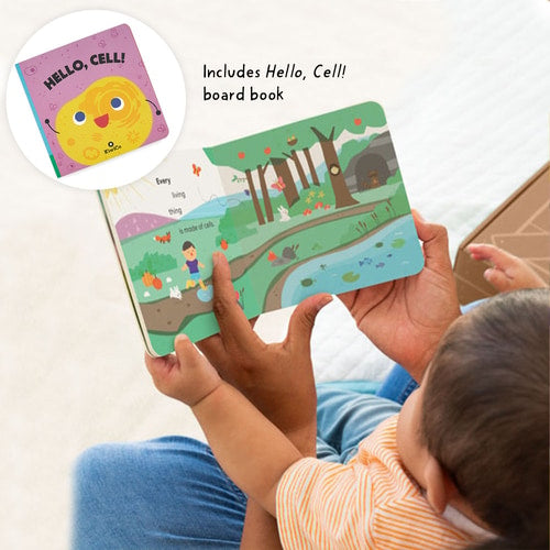 Biology Blocks Shape Sorter