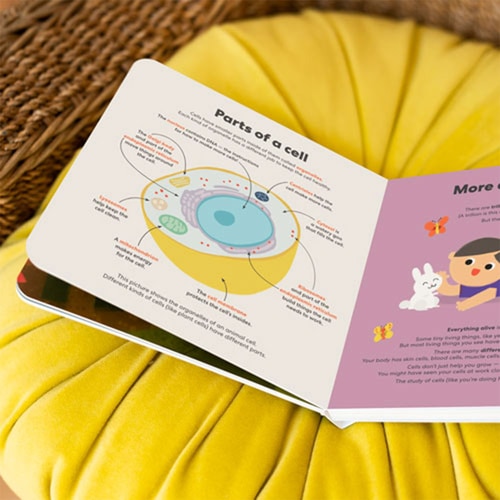 Biology Blocks Shape Sorter