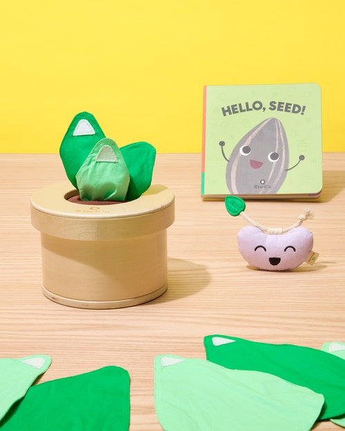 Growing Seeds Tissue Box Toy