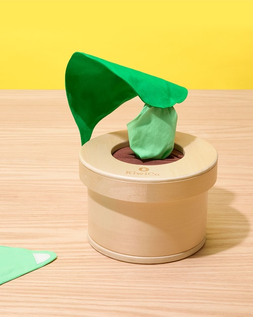 Growing Seeds Tissue Box Toy