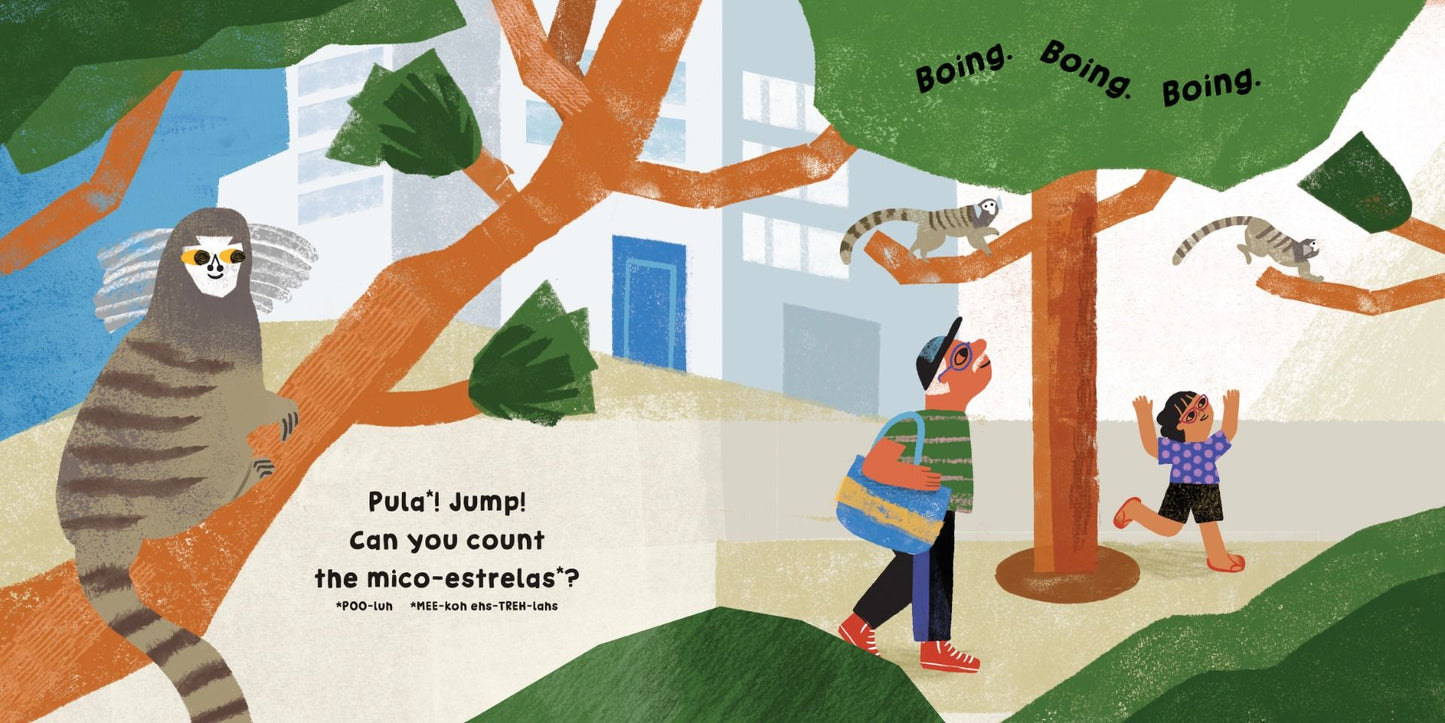 Our World: Brazil Board Book
